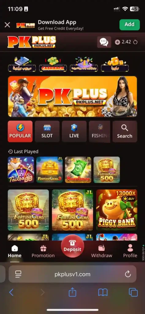 pkplus game